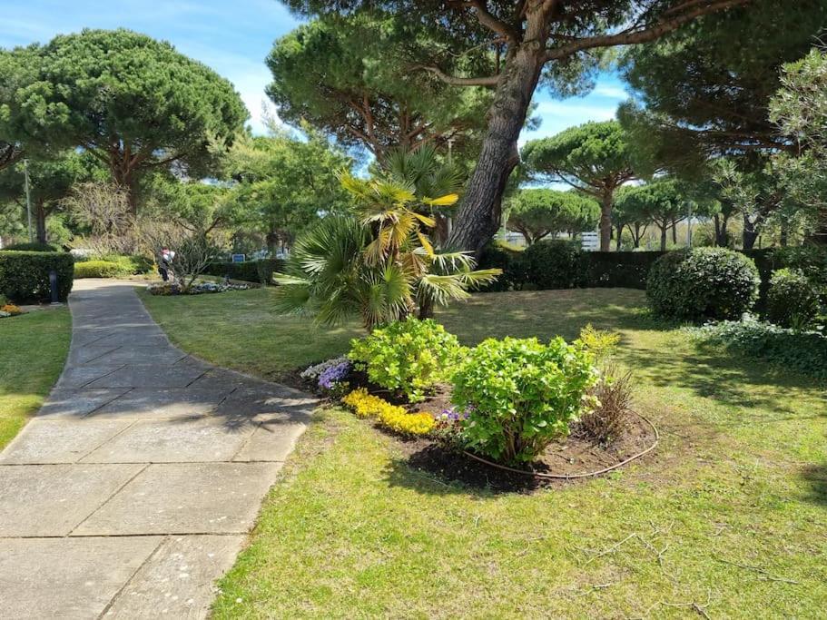 Superbe T2 Tout Confort 3 Etoiles, Entierement Renove Avec Piscine, Parking, Clim, Wifi, Netflix La Grande Motte Exterior photo